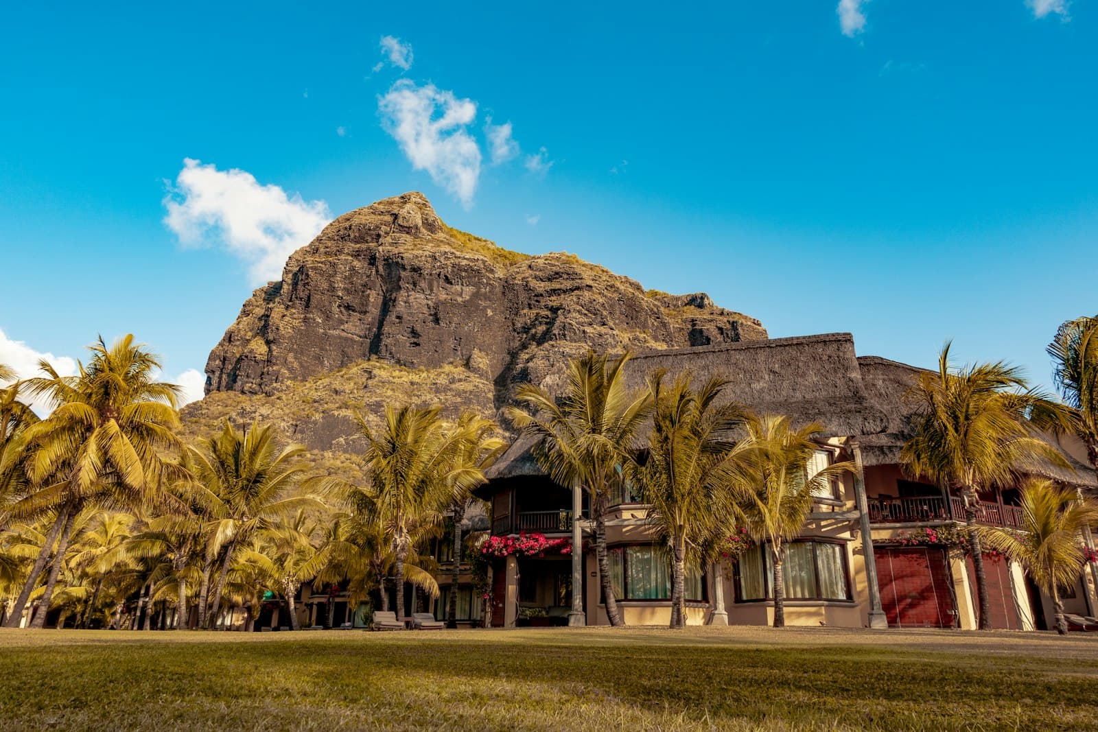 Le Morne mountain and palm trees in Mauritius
